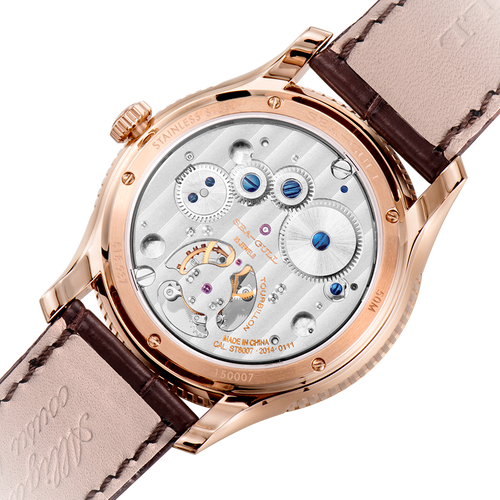 Artisan Heritage Series Celestial Calendar Power Reserve Indicator Eccentric Tourbillon 41mm