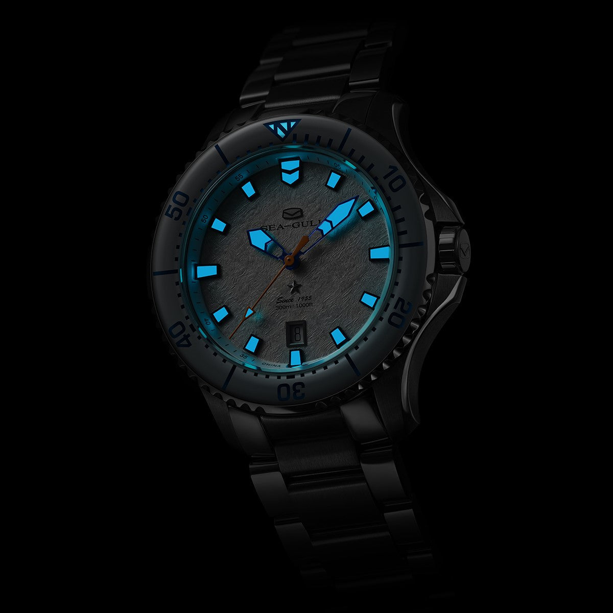 Ocean Series Pro 300m Waterproof Ice Wing Snow Region Diving Watch 43.5mm